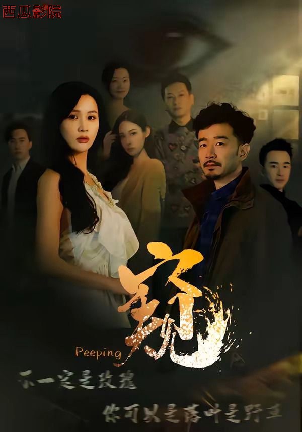 窥（窥伺）
